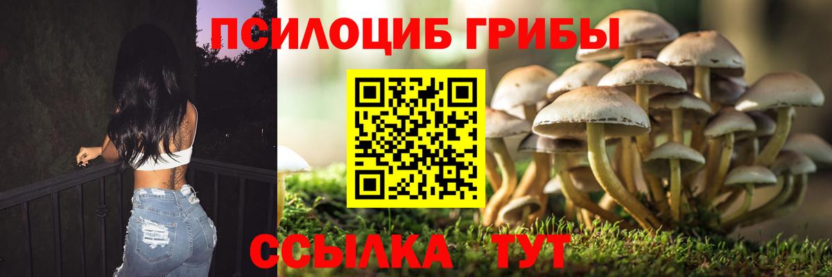 Псилоцибиновые грибы Cubensis Назарово